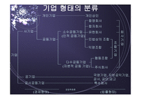 기업형태의 발전 개요-3