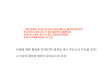 조기유학 레포트-3