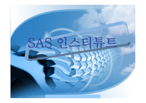 SAS 인스티튜트 레포트-1