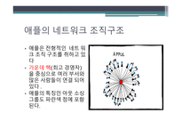 삼성전자와 애플 조직유형 비교-10