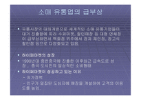 국내 유통업체의 중국시장 진출방향-4