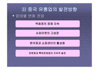 국내 유통업체의 중국시장 진출방향-8