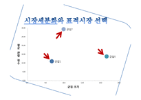 일의 서머 마케팅 실패사례보고서-10