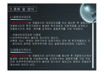 결합 재무제표 레포트-15
