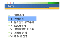 칠성사이다 롯데기업소개-10