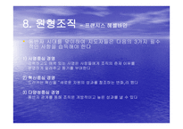 미래의 조직 피터 드러커-14