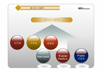 STX 팬오션 경영전략-13