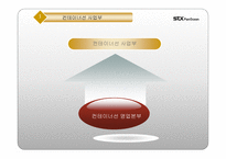 STX 팬오션 경영전략-14