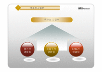STX 팬오션 경영전략-15
