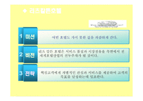 미션과 비전전략의 관계와 사례-12