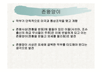 19세기 중엽 일본이 개방에 성공한 이유-9