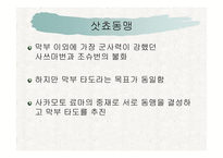 19세기 중엽 일본이 개방에 성공한 이유-10