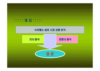 숙취해소 음료 그래미 여명 조사보고서-2