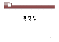 광양항 분석 레포트-1