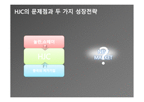 홍진크라운 기업분석 리포트-19