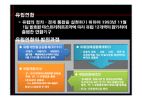 유럽연합의 경제-2