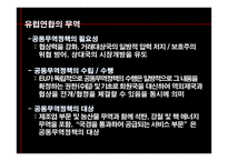 유럽연합의 경제-9