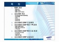 ERP SAMSUNGSDI의 SAPR-2
