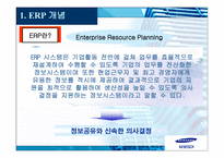 ERP SAMSUNGSDI의 SAPR-3
