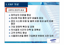 ERP SAMSUNGSDI의 SAPR-5