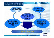 ERP SAMSUNGSDI의 SAPR-13