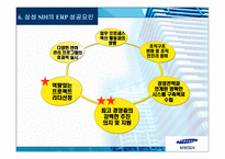 ERP SAMSUNGSDI의 SAPR-20