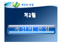 마케팅 커뮤니케이션과 촉진 관리-11