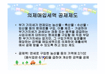 절세방안 보고서-12