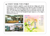 우리 서대문 서대문구 관광-10