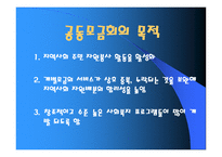 사회복지 공동모금회 지역사회복지론-3