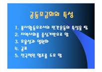 사회복지 공동모금회 지역사회복지론-4