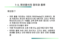 허브음식 프랜차이즈 전략 herbarium-5