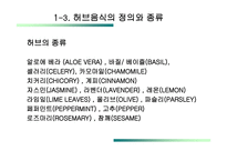 허브음식 프랜차이즈 전략 herbarium-6