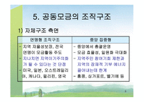 공동모금회 레포트-9