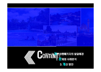 우리나라 여행업의 문제점과 개선방안-5