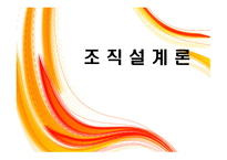 조직 설계론 레포트-1
