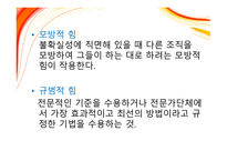 조직 설계론 레포트-5