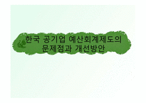 공기업의 예산회계 한국 공기업 예산회계제도의 문제점과 개선방안-1