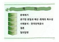 공기업의 예산회계 한국 공기업 예산회계제도의 문제점과 개선방안-2