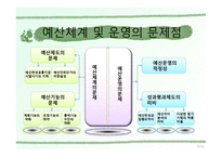 공기업의 예산회계 한국 공기업 예산회계제도의 문제점과 개선방안-10