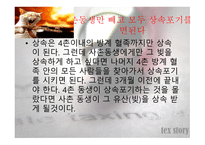 상속세&증여세 레포트-20
