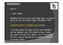 잉글랜드 프리미어리그의 경제학-12