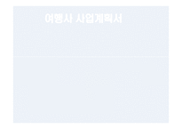 다비 투어 여행사 사업계획서-1