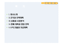 다비 투어 여행사 사업계획서-2