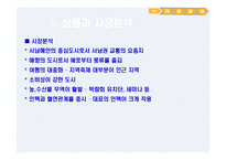 다비 투어 여행사 사업계획서-11