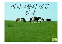 이리 그룹의 성공전략-1