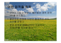 이리 그룹의 성공전략-3