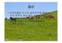 이리 그룹의 성공전략-12
