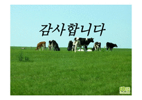 이리 그룹의 성공전략-13