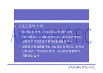 태평양 화장품 화장품산업의 현황 경쟁사 분석-12